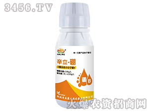 ���ϑBС������-����