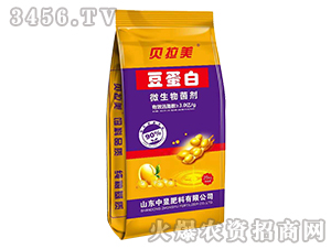 ������΢�������-ؐ����-���ŷ���