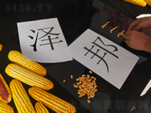 ˼����a(ch��n)Ʒ�V���Ĕz������˼����Ļ���ý���޹�˾