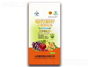 ���䌣�������{�턩-���}�V�-����ʘI