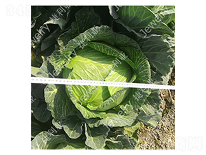 �ݸ�15226-���{�N��-������