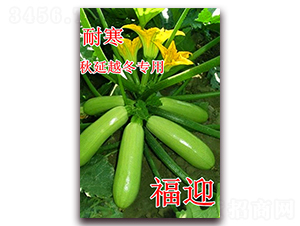 ��ӭ-�����J�N��-��ʢ�r�I