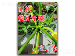 �ż��_-�����J�N��-��ʢ�r�I