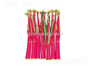 ���tһ̖-��޷�N��-�F���N�I