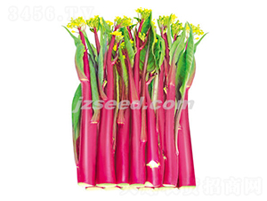 ����ʮһ̖-��޷�N��-�F���N�I