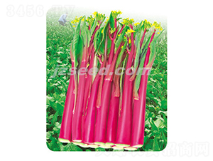 ��ݿ��̖-��޷�N��-�F���N�I