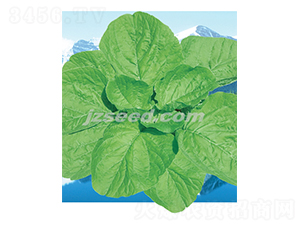 ̩�����S�{��-�{�˷N��-�F���N�I