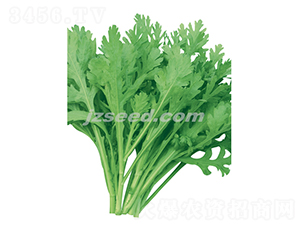 �hꖻ��~����-����N��-�F���N�I