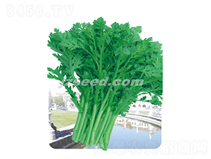 �оջ��~����-����N��-�F���N�I