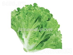 ��������-���˷N��-�F���N�I