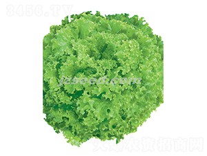 �������-���˷N��-�F���N�I