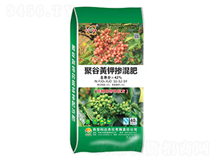 �۹��S⛓����16-12-14-���_�r��