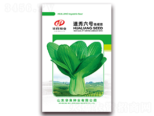 ������̖-�๣�˷N��-�A���N�I