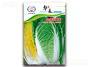 ���F��66-��ײ˷N��-�A���N�I