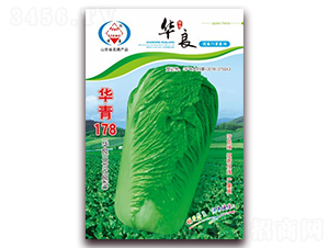 �A��178-��ײ˷N��-�A���N�I