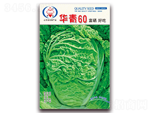 �A��60-��ײ˷N��-�A���N�I