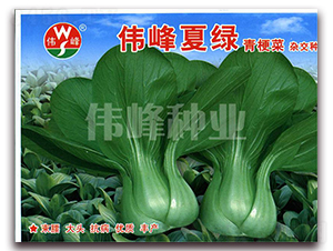 �����ľG�๣��-�๣�˷N��-����N�I