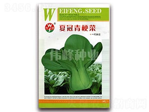 �Ĺ��๣��-�๣�˷N��-����N�I