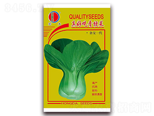 ��ó��๣��-�๣�˷N��-�����N�I