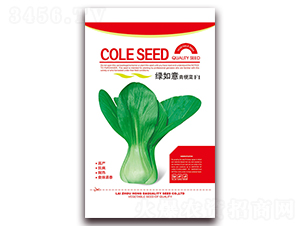 �G�����๣��-�๣�˷N��-�����N�I