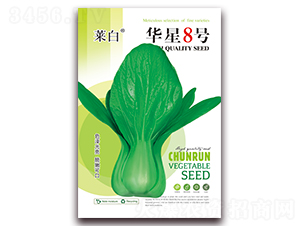 �A��8̖-�๣�˷N��-�����N�I