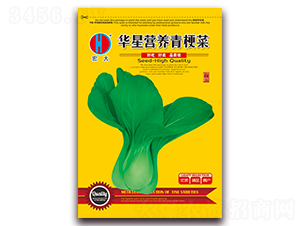 �A�ǠI�B�๣��-�๣�˷N��-�����N�I