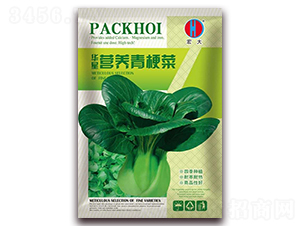 �A�ǠI�B�๣�ˣ��G��-�๣�˷N��-�����N�I