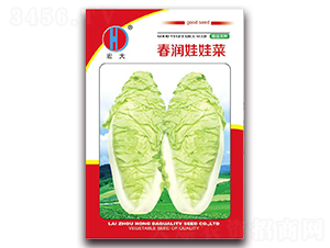 ��󴺝�(r��n)���޲�-���޲˷N��-����(r��n)�N�I(y��)