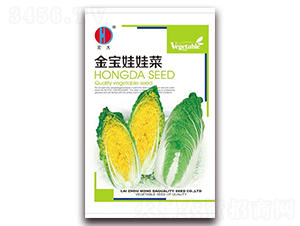 ���������޲�-���޲˷N��-�����N�I