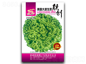 ����������-���˷N��-��