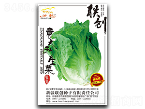 ���������-���˷N��-��