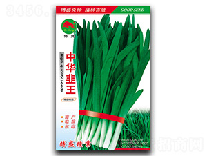 ���A����-�²˷N��-��ʢ�N�I