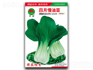 �������Ͳ�-�Ͳ˷N��-��ʢ�N�I