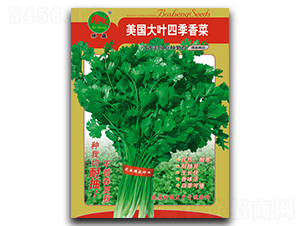 �������~���-��˷N��-��ʢ�N�I