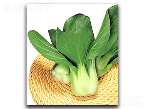 ����-�๣�˷N��-�r����