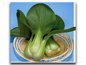 ����-�๣�˷N��-�r����