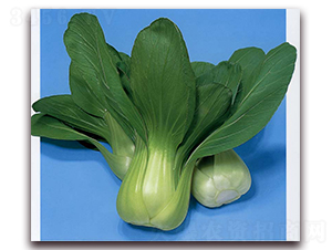 �ĵ�-�๣�˷N��-�r����