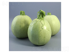 ��ɫ�����J��-�����J�N��-���N