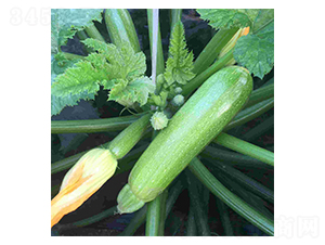 ���vɽ��2̖-�����J�N��-���N