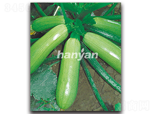 �h�@���G-�����J�N��-�h��