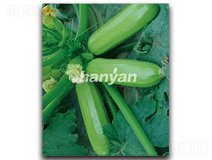 �h��һ̖-�����J�N��-�h��