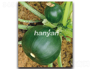 �h�@����-�����J�N��-�h��