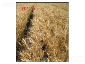 ɽ�r(n��ng)12̖-С���N��-���N