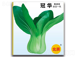 ���A-�๣�˷N��-�����N�I