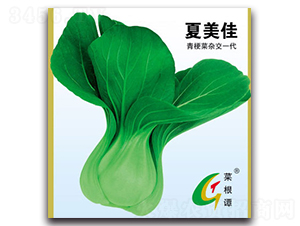 ������-�๣�˷N��-�����N�I