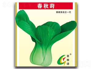 �����P-�๣�˷N��-�����N�I