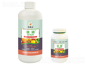 ƿ�bƝ������Ԫ��ˮ�ܷ���-С����-�Ʒ����