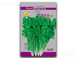 ȫ�����-��˷N��-��ɷN�I