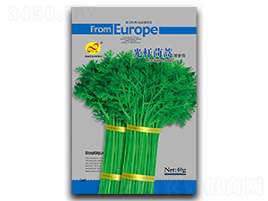 ��U����-����N��-��ɷN�I