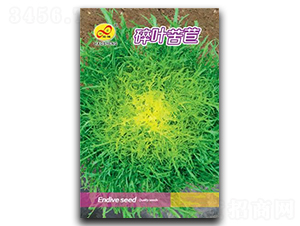 ���~����-���ķN��-��ɷN�I